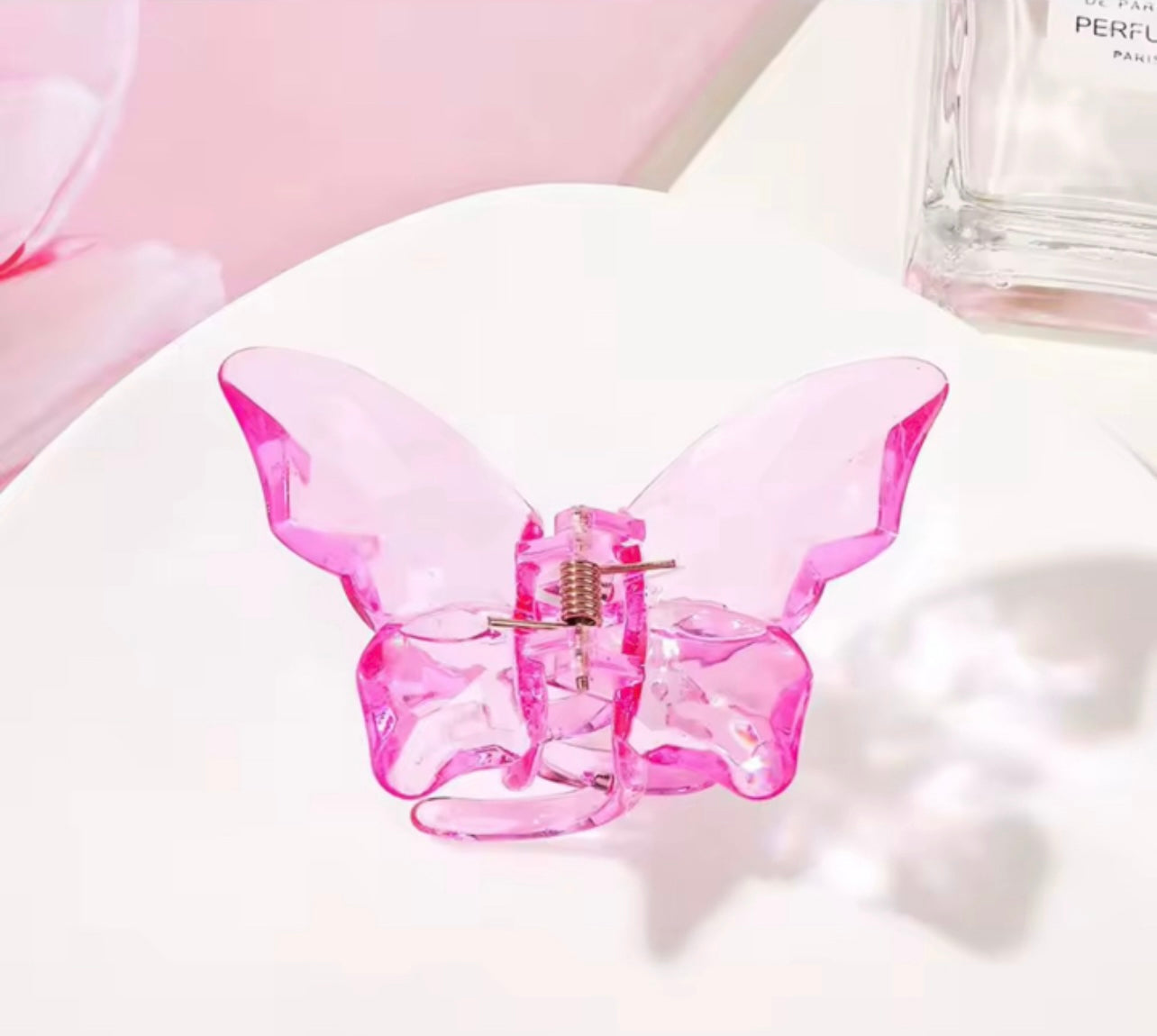 Papillons attrape cheveux