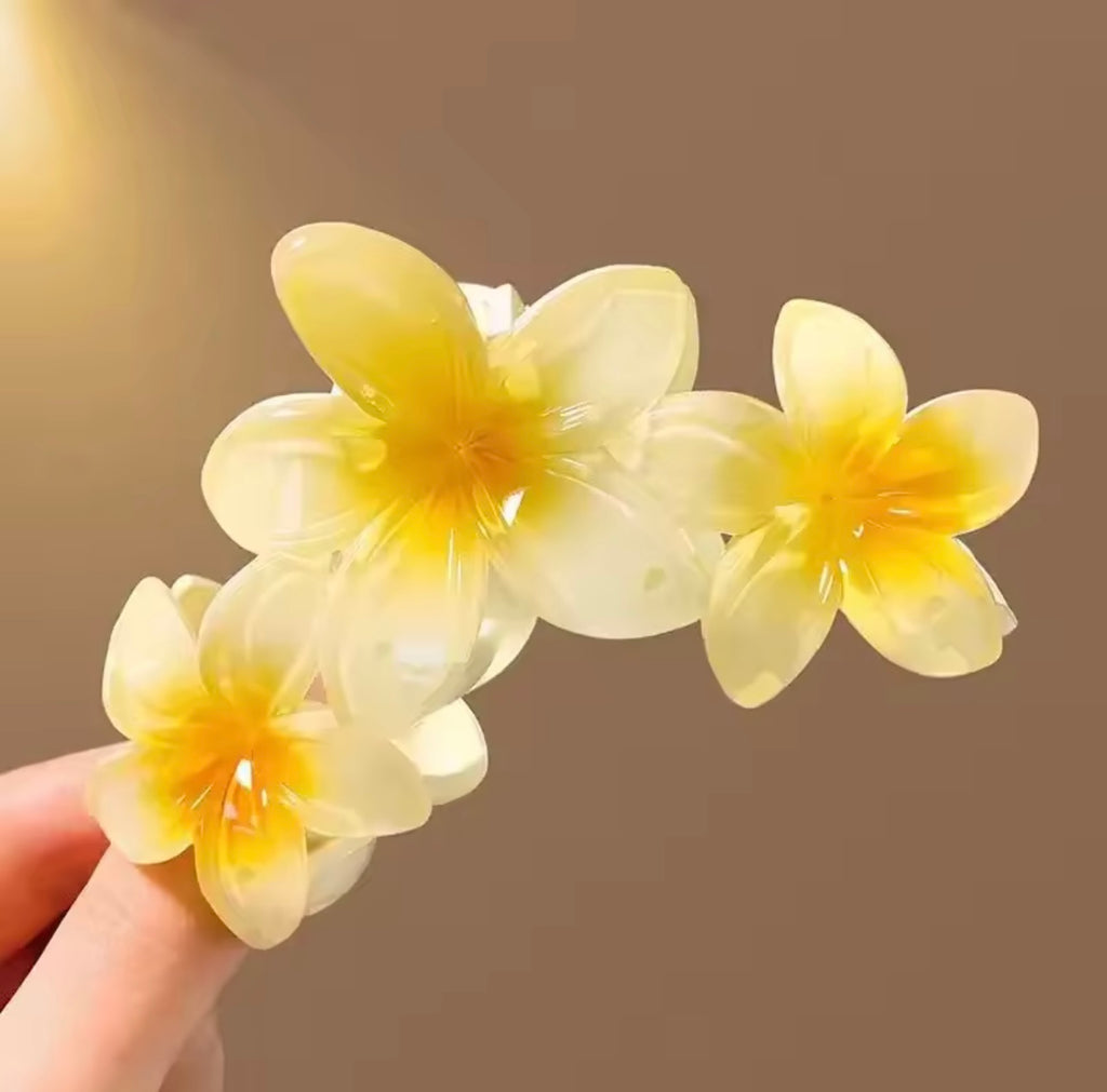 Pinces fleurs ombrées (lot de 3 pièces)