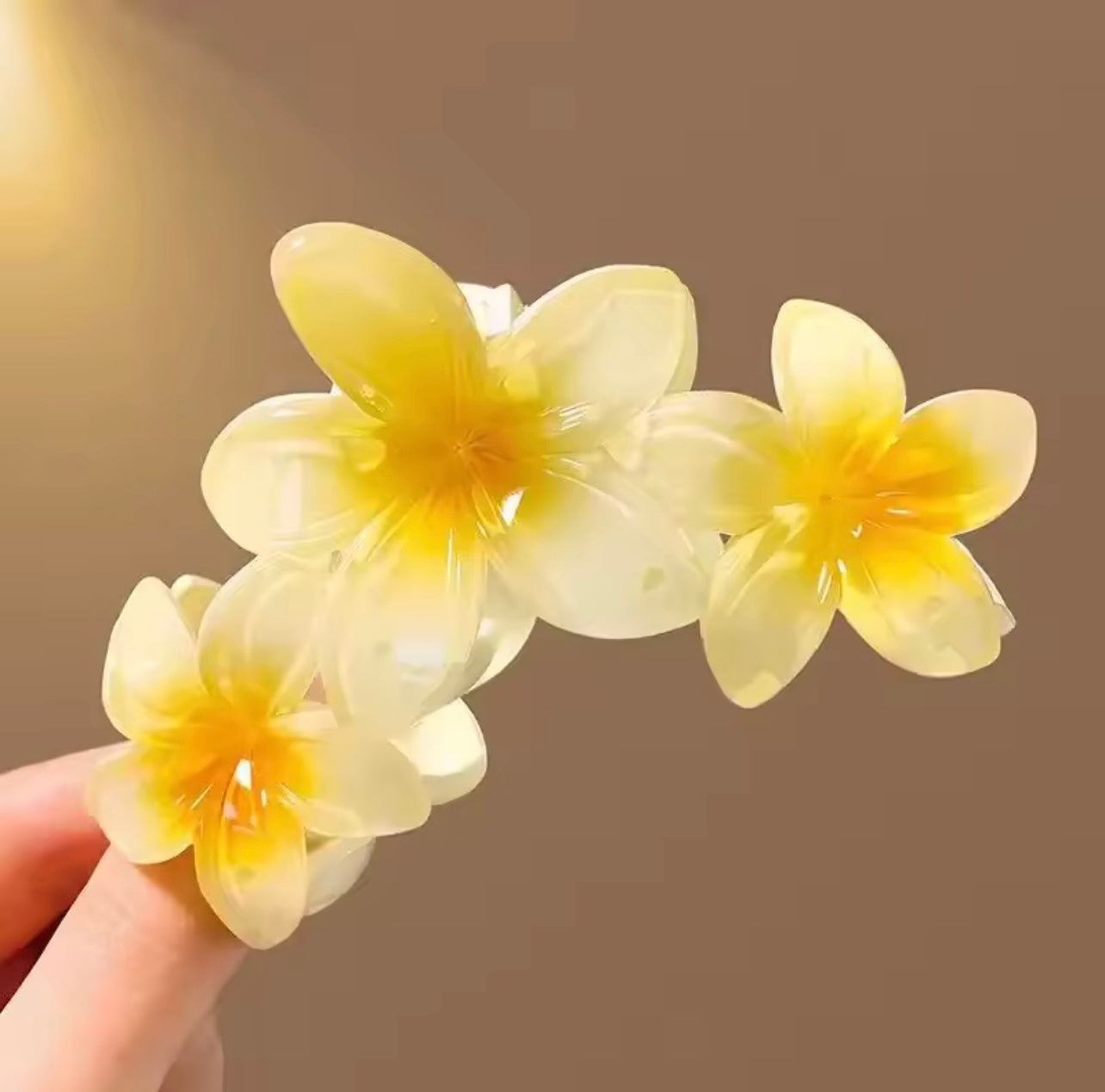 Pinces fleurs ombrées (lot de 3 pièces)