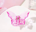 Papillons attrape cheveux