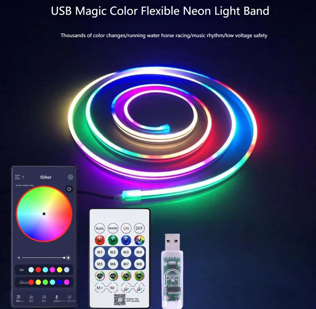 Néon multicolore led